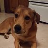 jwjulie24